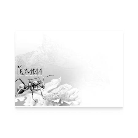 Конверт «Перший день. Комахи України» 2024