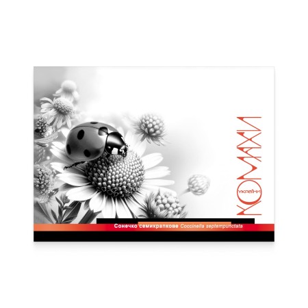Картка «Сонечко семикрапкове»