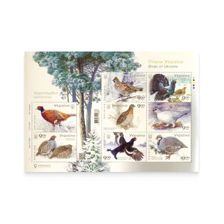 Sheet «Birds of Ukraine. Galliformes»