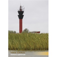Картка «Маяк Шагани»