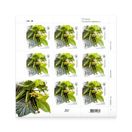 Sheet «Cucumber» (on self-adhesive paper)