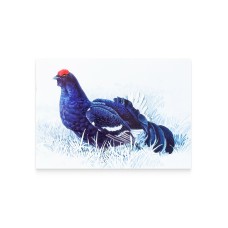 Card «Eurasian grouse»
