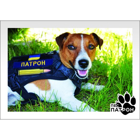 Сard “Dog Patron”