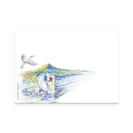 Cover «First Day. Podilski Tovtry National Nature Park»