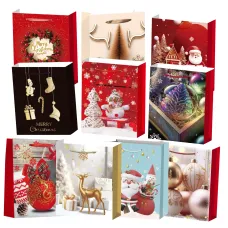 Набір подарункових пакетів 31х40х12 мм (10 шт.)