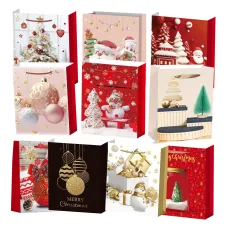 Набір подарункових пакетів 26х32х10 мм (10 шт.)