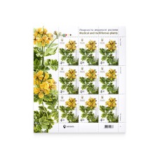 Sheet "Chiropodium ordinary. Medicinal and honey-bearing plants"