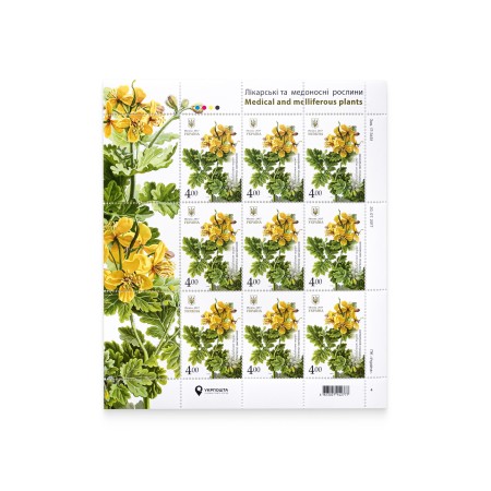 Sheet "Chiropodium ordinary. Medicinal and honey-bearing plants"