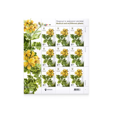 Sheet "Chiropodium ordinary. Medicinal and honey-bearing plants"