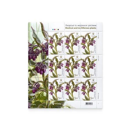 Sheet "Medicinal licorice. Medicinal and honey-bearing plants"