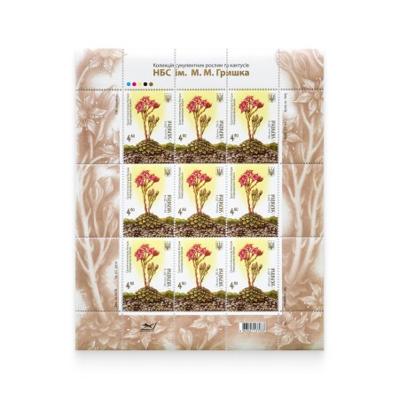 Аркуш «Граптопеталум белум»