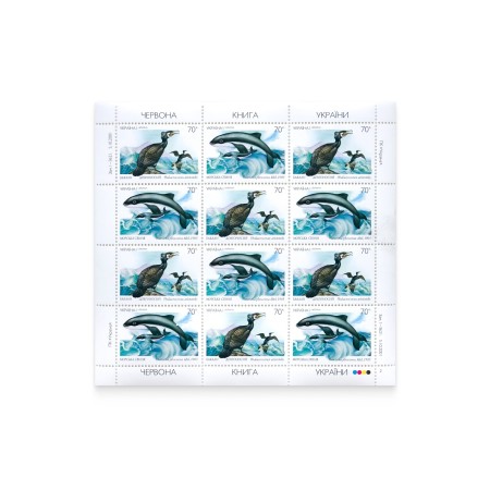 Аркуш «Баклан довгоносий та морська свиня»