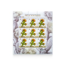 Sheet «Opuntia microdasis»
