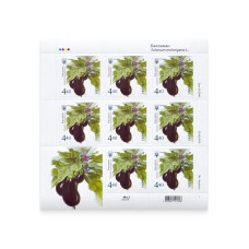 Sheet "Eggplant" (on self-adhesive paper)
