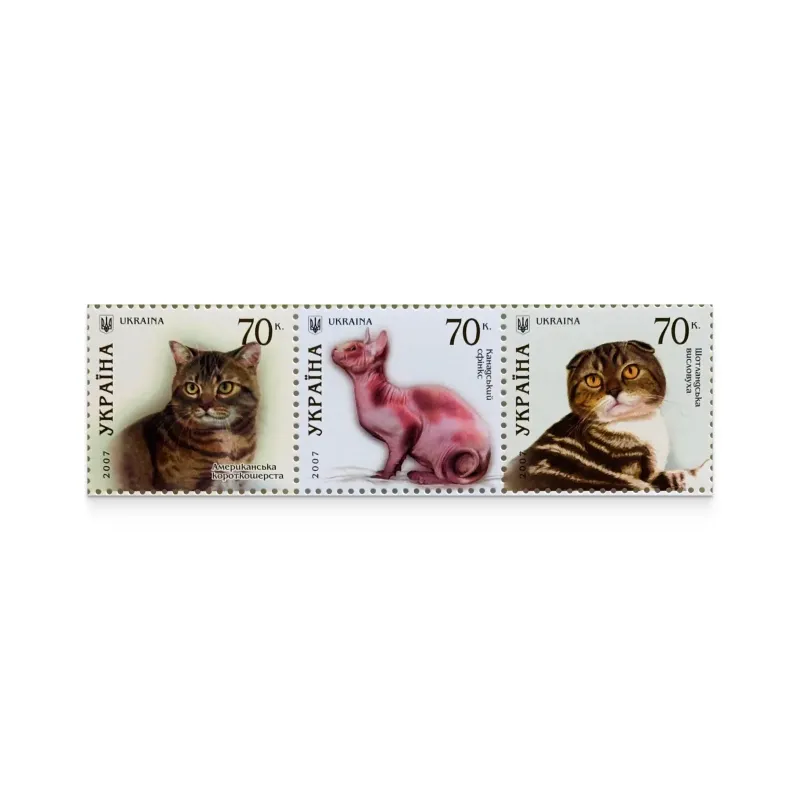 Block «Cats» 2007