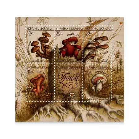 Block «Mushrooms»