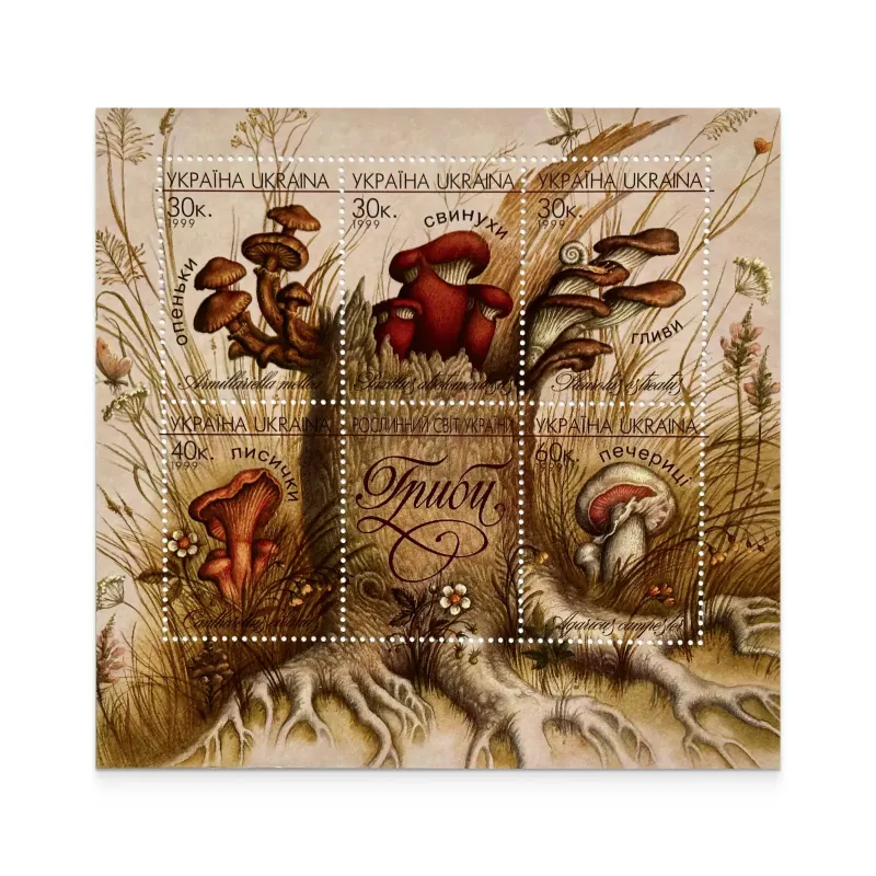 Block «Mushrooms»