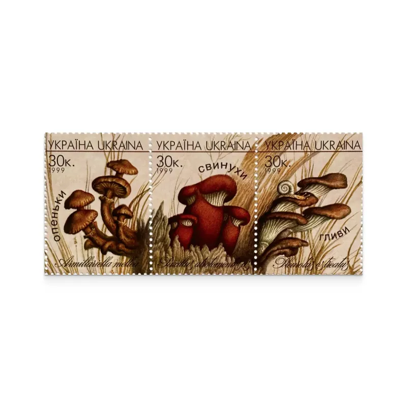 Block «Mushrooms»