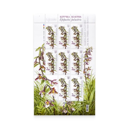 Sheet "Orchids. Epipactis palustr"