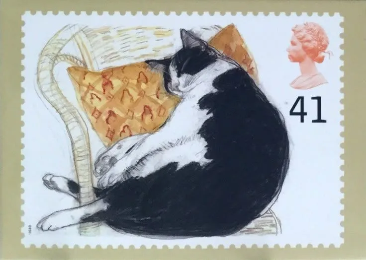 cat